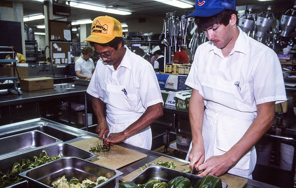 Food services, 1987