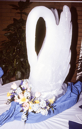 Food services, 1987
