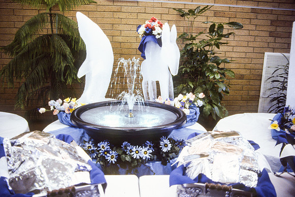 Food services, 1987