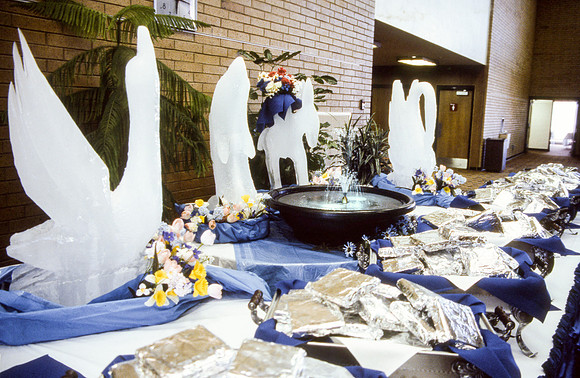 Food services, 1987