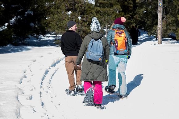 Snowshoeing- March 2018