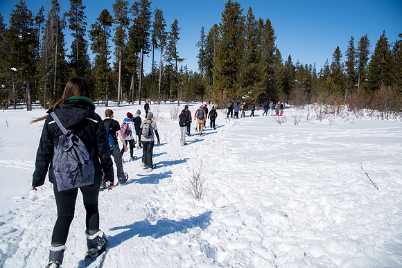 Snowshoeing- March 2018