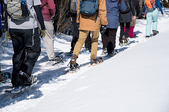 Snowshoeing- March 2018