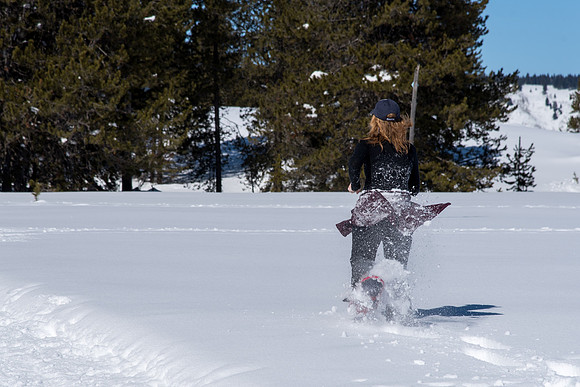 Snowshoeing- March 2018