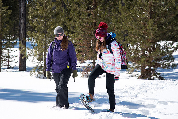 Snowshoeing- March 2018