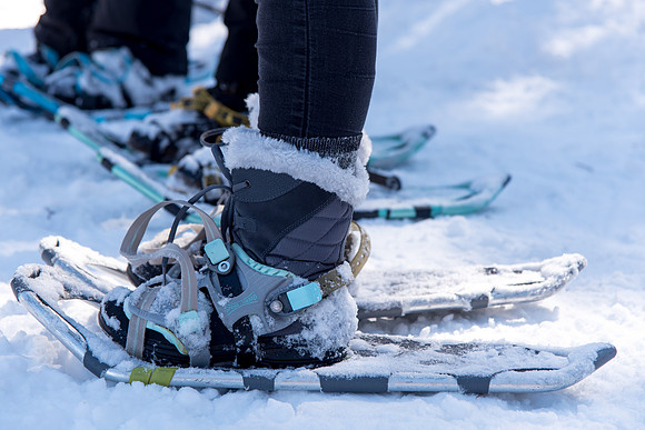 Snowshoeing- March 2018