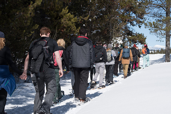 Snowshoeing- March 2018