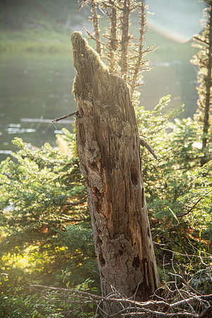 Targhee Photo Excursion - Aug 2023
