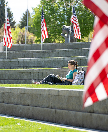 Ampitheater Memorial Day Flags - May 2025