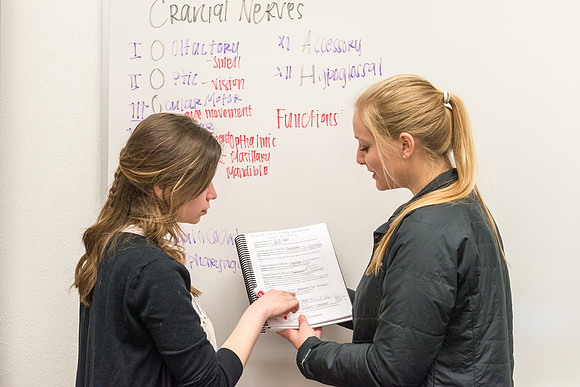 Students in a Biology class taught by John Fisher gather regularly for group study to help one another learn. April 2018