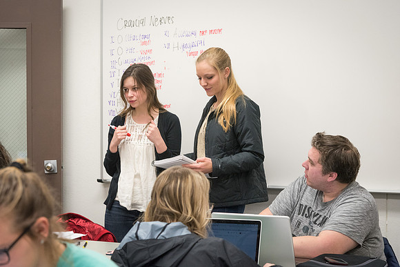 Students study with Brother John Fisher in the Biology Study Lab.