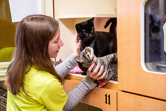 Animal Shelter - Mar. 2022
