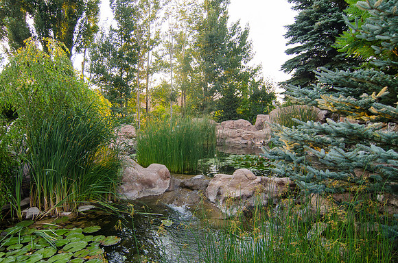 Thomas E. Ricks Gardens just before sun down