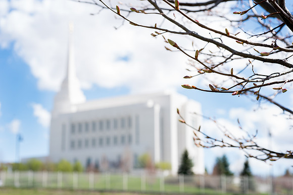 Spring season - Rexburg Temple
