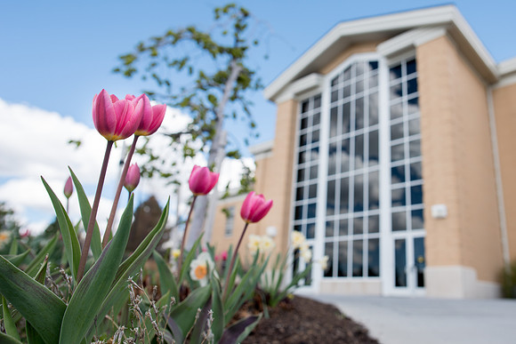 Spring season on campus.