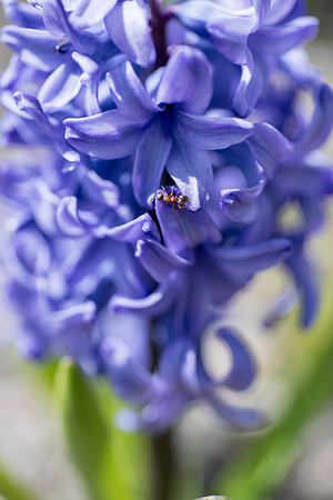 Spring season on campus.
