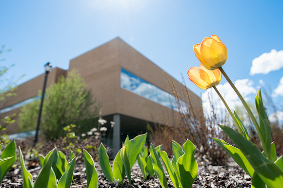 Spring season on campus.