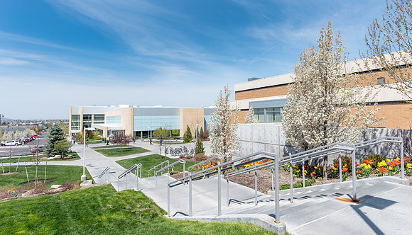 Spring season on campus.