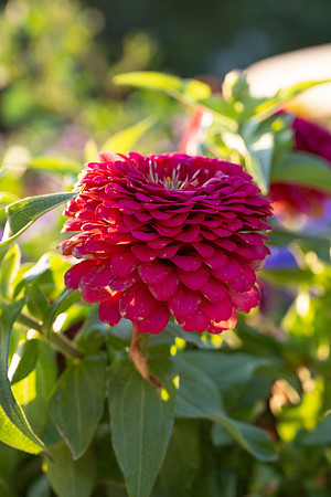 Nature on Campus - Aug 2024