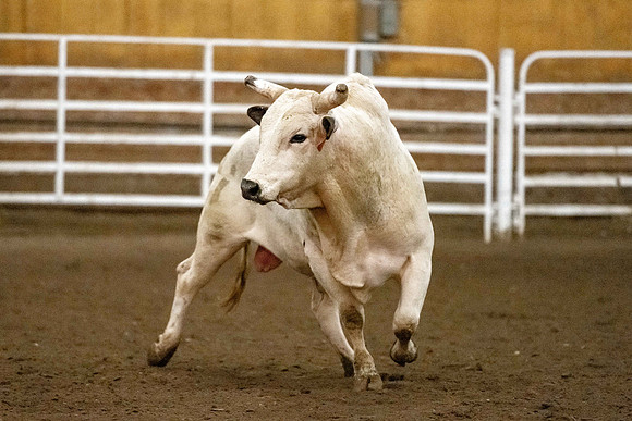 Spirit Week Rodeo - Oct 2023