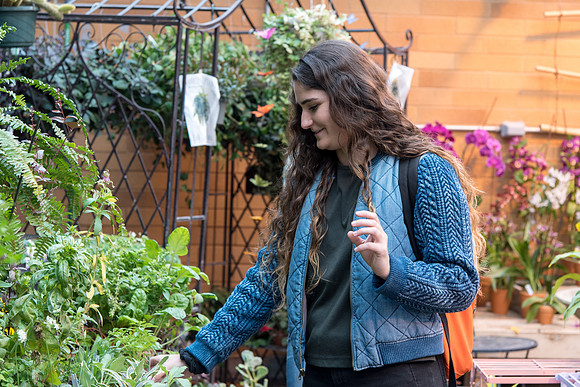 Greenhouse- May 2018