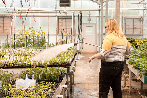 Greenhouse- May 2018