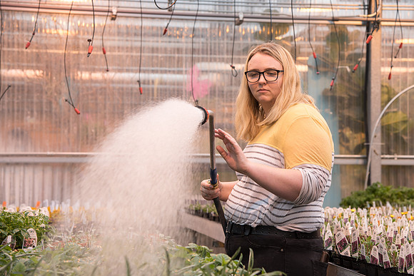 Greenhouse- May 2018