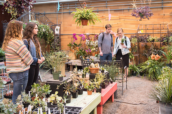 Greenhouse- May 2018
