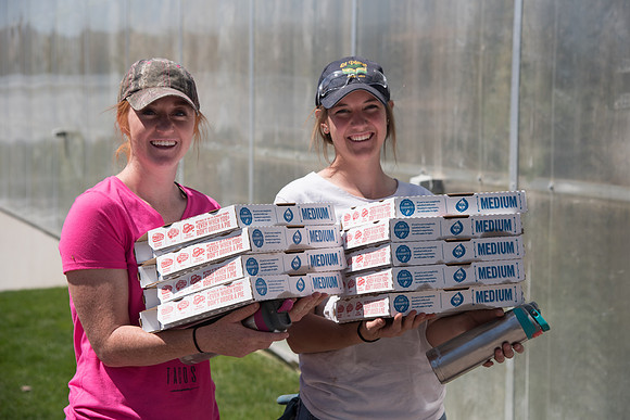 Students working in the Benson Building Greenhouse , Spring Semester. April 2018