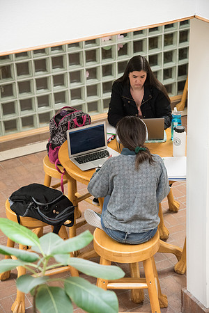 Students studying in the Benson Building, Spring Semester. April 2018