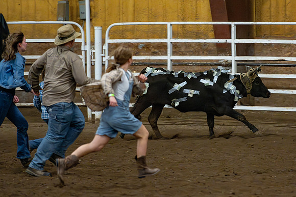 Students gather at the rodeo grounds to watch the spirit week rodeo.