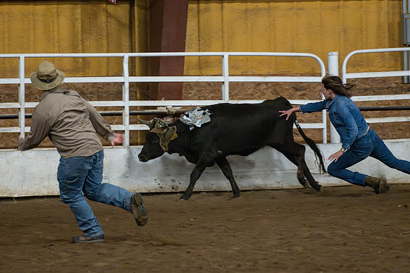 Students gather at the rodeo grounds to watch the spirit week rodeo.