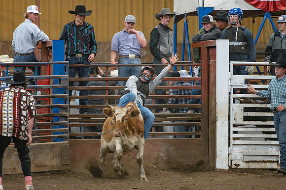 Students gather at the rodeo grounds to watch the spirit week rodeo.
