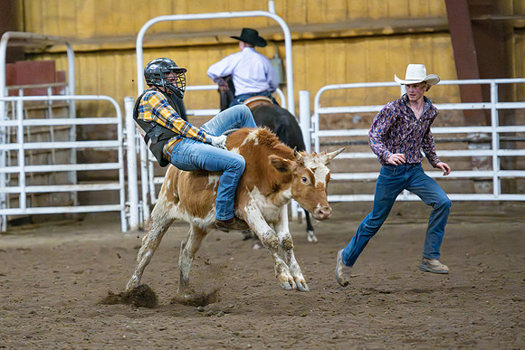 Students gather at the rodeo grounds to watch the spirit week rodeo.