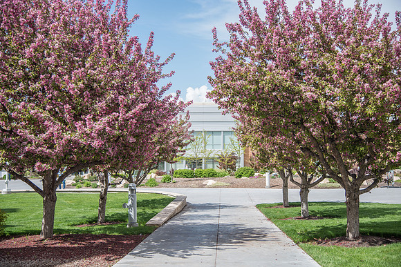 BYU-Idaho camous during Spring Semester. May 2018