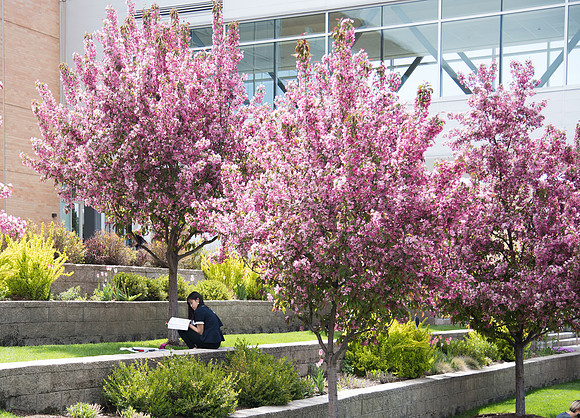 BYU-Idaho campus during Spring Semester. May 2018
