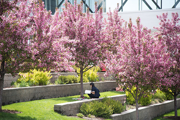 BYU-Idaho campus during Spring Semester. May 2018
