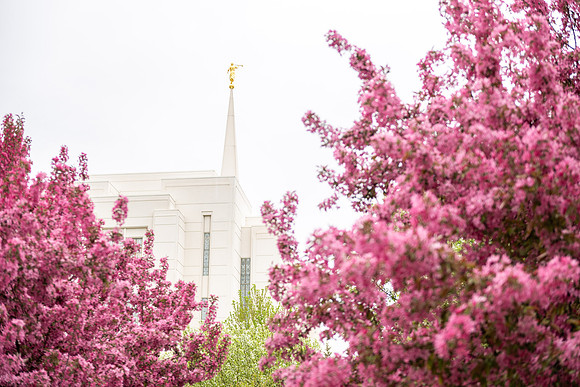 The Rexburg Temple in Spring - May 2025
