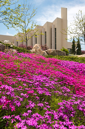 BYU-Idaho campus in the spring time in all it's splendor.