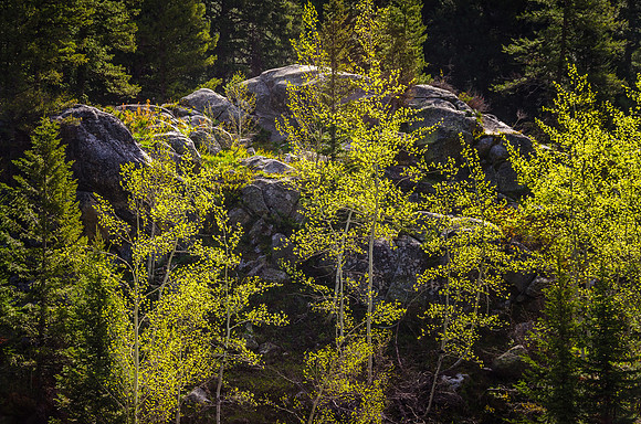 Beautiful spring day hiking through the Teton Canyon on the Alaska Basin trail.