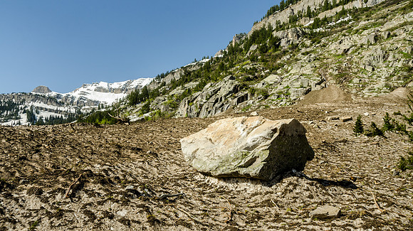 Beautiful spring day hiking through the Teton Canyon on the Alaska Basin trail.