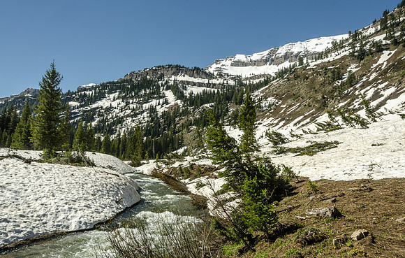 Beautiful spring day hiking through the Teton Canyon on the Alaska Basin trail.