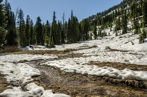 Beautiful spring day hiking through the Teton Canyon on the Alaska Basin trail.