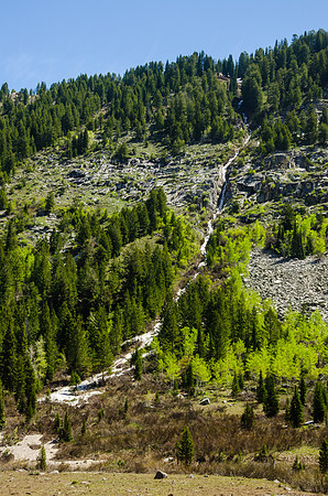Beautiful spring day hiking through the Teton Canyon on the Alaska Basin trail.