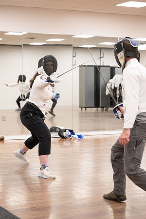 Fencing - June 2024