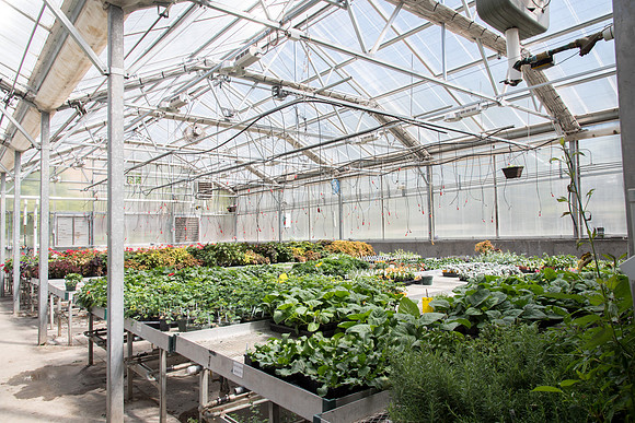 Horticulture Greenhouse on campus