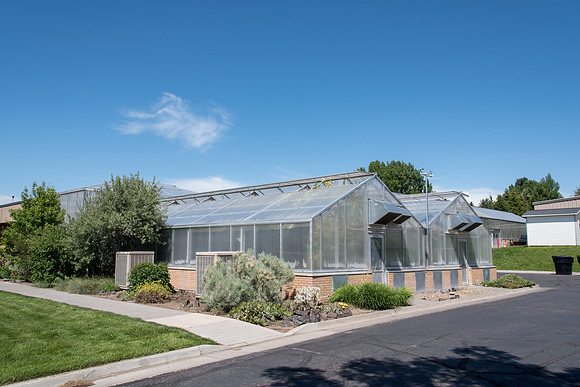 Biology Greenhouse on campus