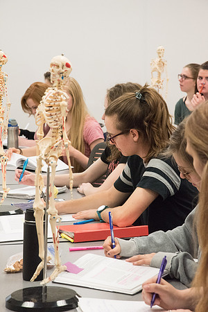 Dance Professor, Wendy Bone teaching students Kinesiology. June 2018