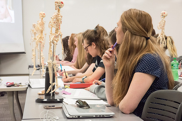 Dance Professor, Wendy Bone teaching students Kinesiology. June 2018