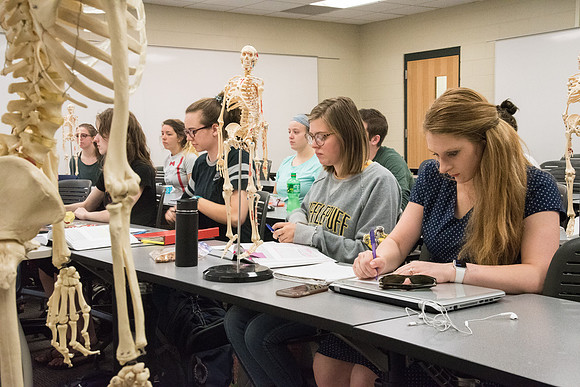 Dance Professor, Wendy Bone teaching students Kinesiology. June 2018